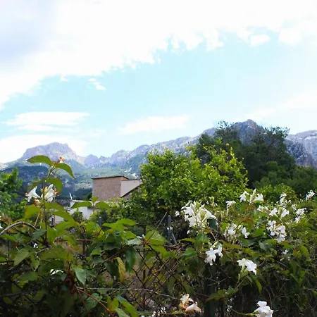 Holiday home Can Toni De S'hort Soller