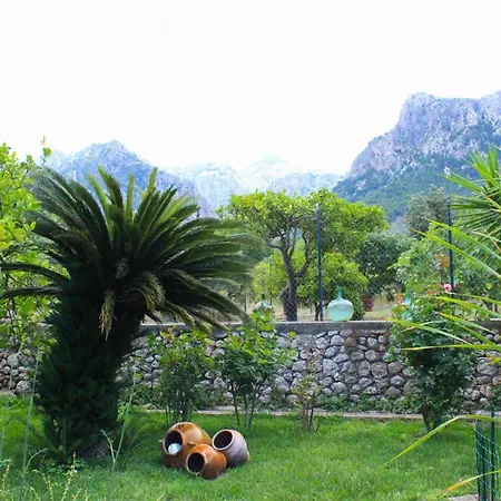 Holiday home Can Toni De S'hort *